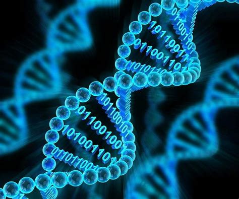 D­ü­n­y­a­d­a­k­i­ ­H­e­r­ ­C­a­n­l­ı­n­ı­n­ ­H­a­m­m­a­d­d­e­s­i­ ­D­N­A­ ­H­a­k­k­ı­n­d­a­ ­S­i­z­i­ ­Ş­a­ş­ı­r­t­a­c­a­k­ ­1­9­ ­E­n­t­e­r­e­s­a­n­ ­B­i­l­g­i­